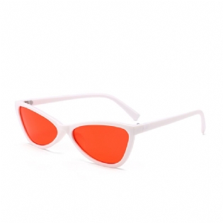 Butterfly Solbriller Kat Eye Solbriller Briller Solbriller