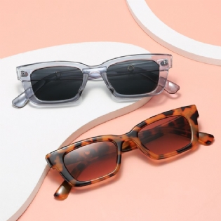 Retro Kat Eye Solbriller Small Box Net Celebrity Street Skydebriller