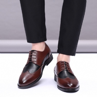 Ægte Læder Til Mænd Åndbar Udhulet Spidstå Vintage Casual Business Sko